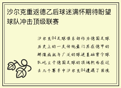 沙尔克重返德乙后球迷满怀期待盼望球队冲击顶级联赛