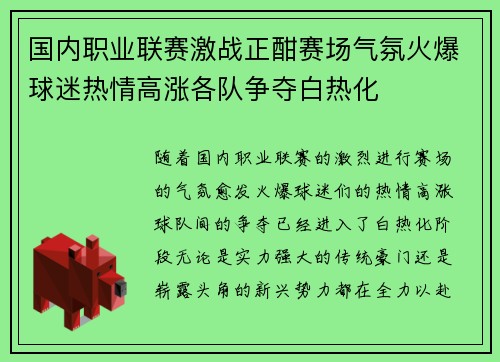 国内职业联赛激战正酣赛场气氛火爆球迷热情高涨各队争夺白热化