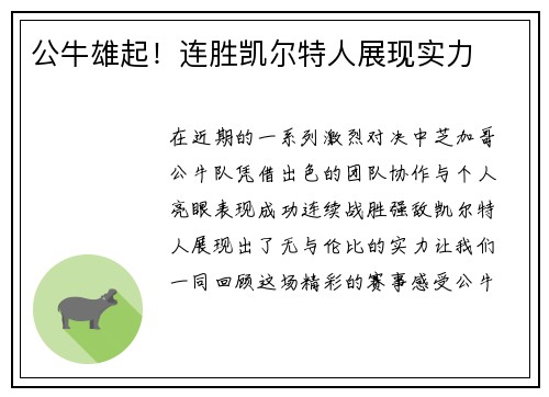公牛雄起！连胜凯尔特人展现实力
