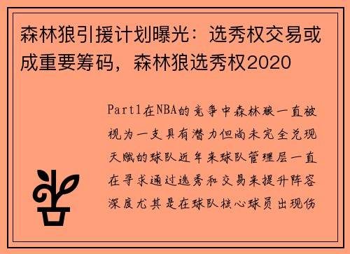 森林狼引援计划曝光：选秀权交易或成重要筹码，森林狼选秀权2020