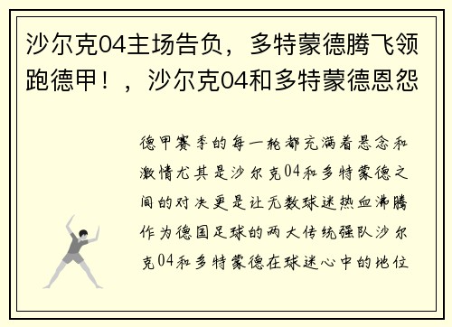沙尔克04主场告负，多特蒙德腾飞领跑德甲！，沙尔克04和多特蒙德恩怨
